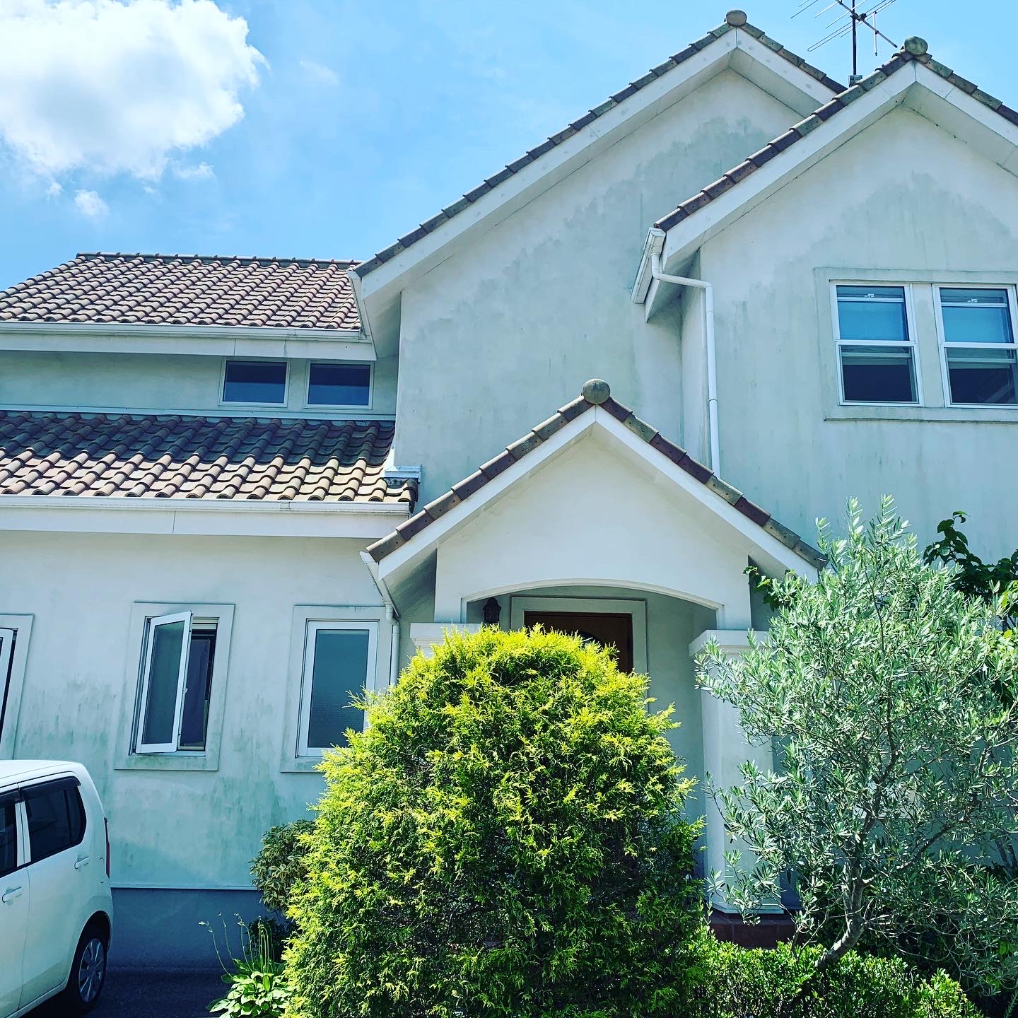 50689916-4D37-4E46-8A10-7EBE679A7E742020-11-05_21-01-45_252