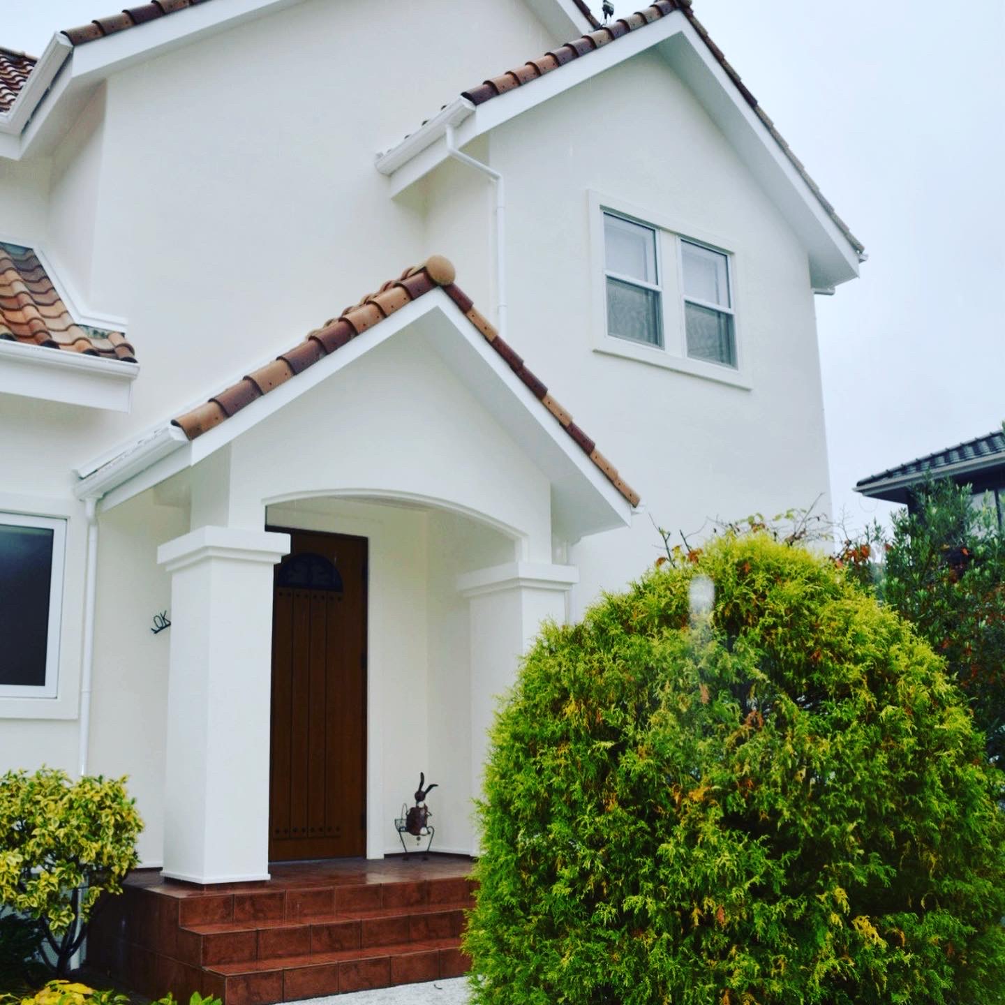 A2DFD480-8B52-4DE0-9B36-5226C321C2182020-11-05_21-01-45_087