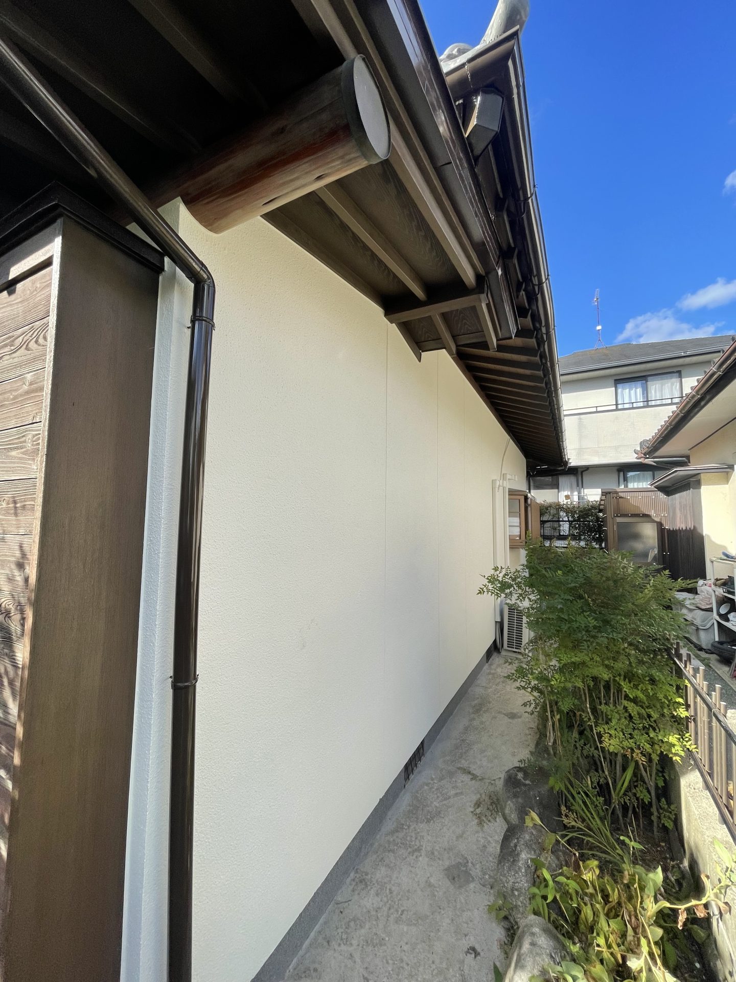 6B3AD6F6-A9A3-40E8-89FB-8B9579FB7E162021-11-12_14-33-53_063