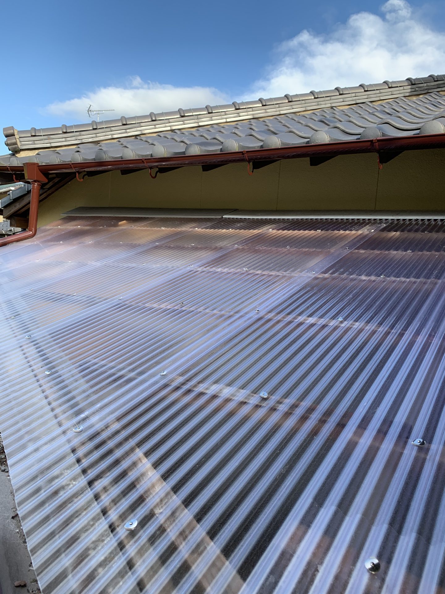 A6C580CF-9DD0-412C-A7E6-DBD9C5F65F0F2019-07-12_17-28-37_386