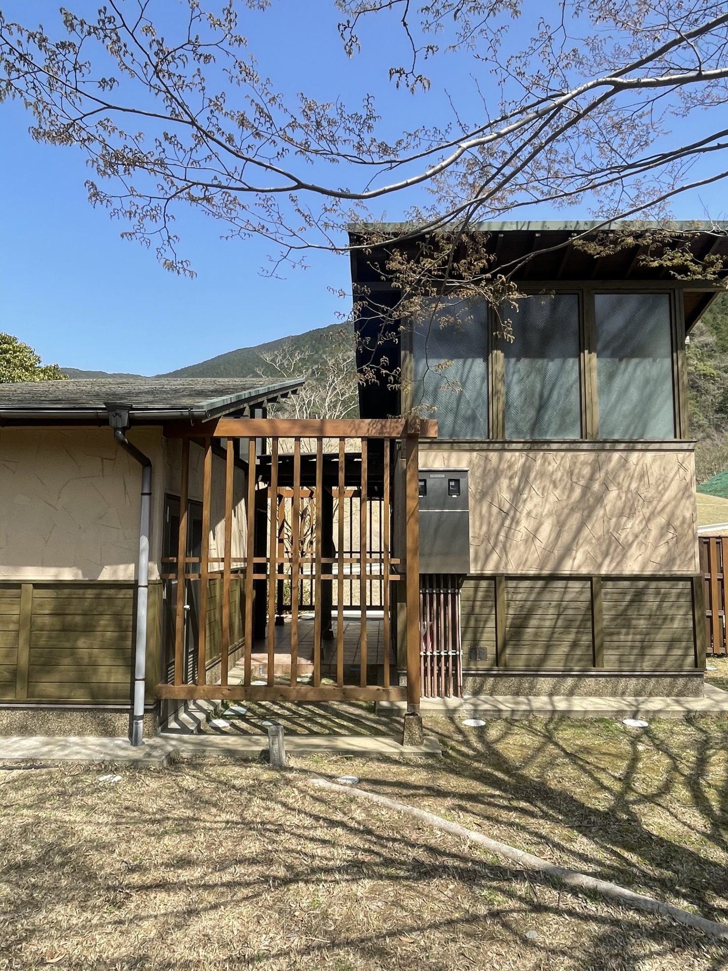 E1FFB2AC-CD41-47A1-92EB-57A5BFCC33E02021-03-18_13-05-40_340